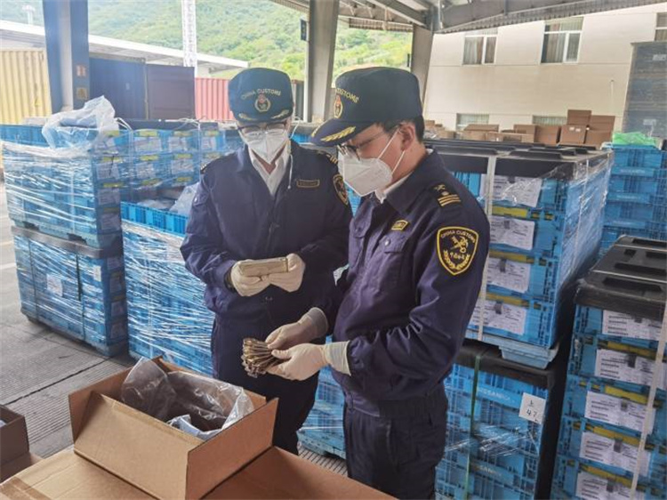 Promouvoir le commerce extérieur pour assurer la stabilité et améliorer la qualité Les douanes de Ningbo ont publié 20 mesures 