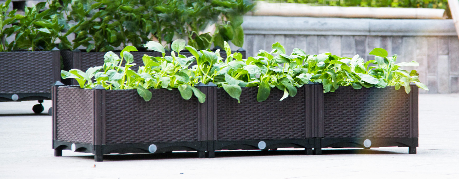 Fournitures de jardinage