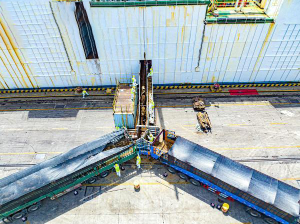 La zone portuaire de Ningbo a inauguré le premier lot de bovins vivants importés de cette année, tous transférés à l'inspection de quarantaine