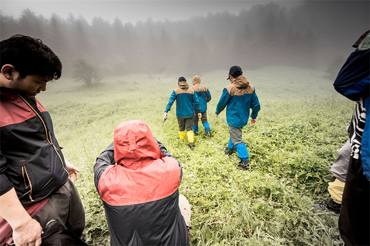 Qu'est-ce que SURVIVA Wilderness Survival ?